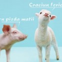 Cateva poze super dragutze:-p
