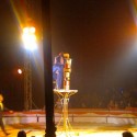Circul Orlando – nota 7
