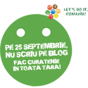 Concluziile sondajului despre „Let’s Do It, Romania” 2010
