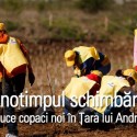 Sa facem o perdea forestiera impotriva zapezii