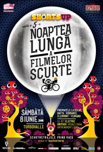 Afis-Noaptea-Lunga-2013