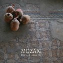 Nicu Alifantis – 40 de ani de muzica