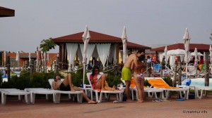 1231132_546596378739630_2078459605_n