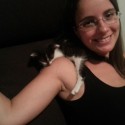 Ofer pisic energic spre adoptie