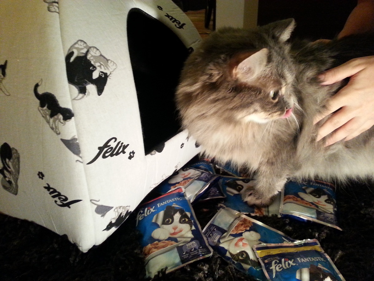 Atentie, va vorbeste Dumi!