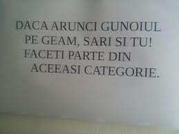 gunoi_pe_geam