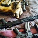 Cati dintre voi au auzit de Dan Bilzerian