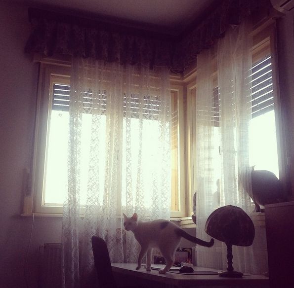 Soarele, mai asteptat decat zapada