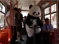 Cum slabesti mergand cu tramvaiul