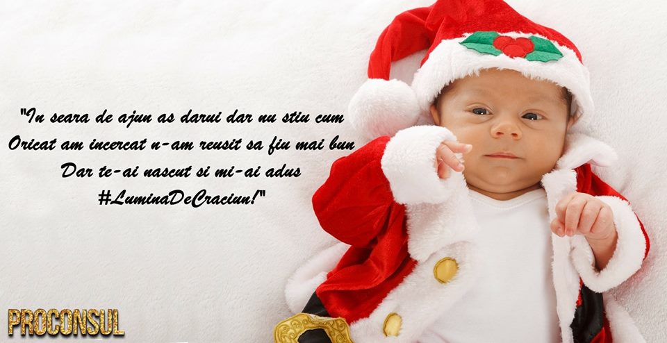 proconsul lumina de craciun