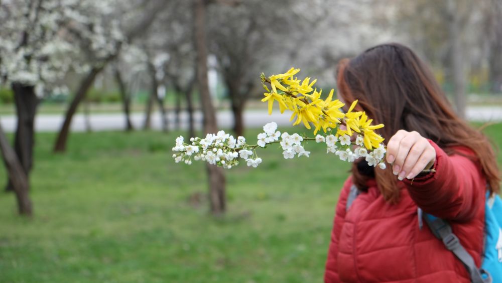 Sfaturi pentru un începător în ale fotografiei