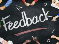 feedback