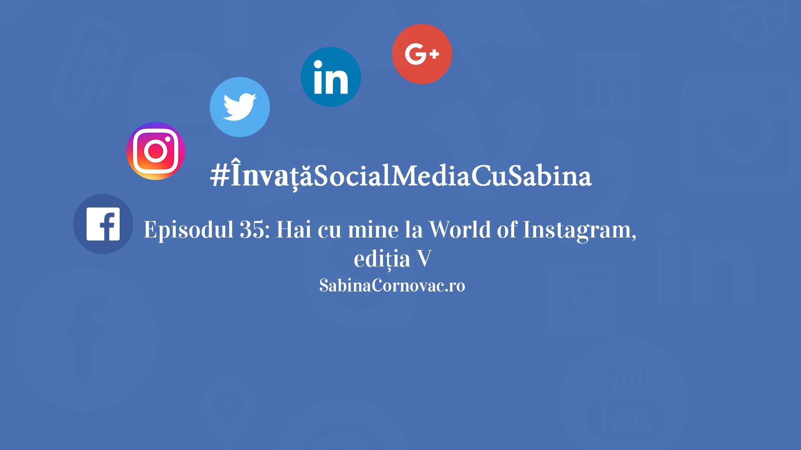 world of instagram