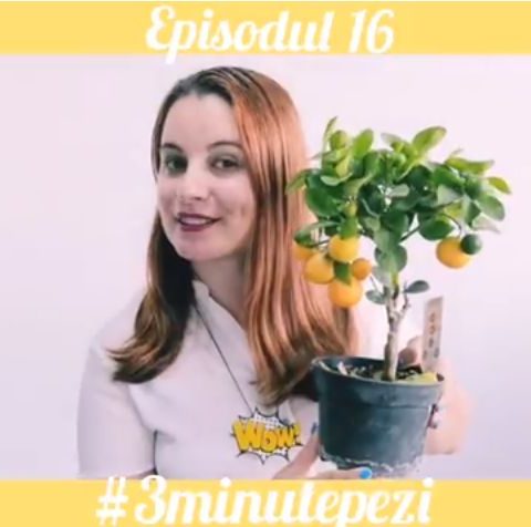 3minutepezi16