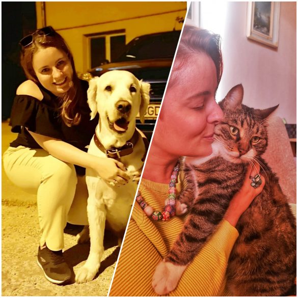 Animalele nu sunt cadouri de Crăciun