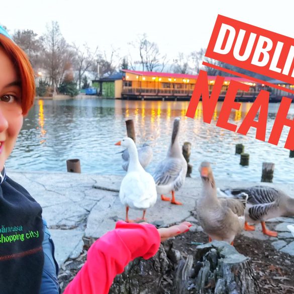De ce am ratat 10 zile în Dublin?