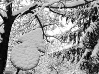 Sfaturile #FotografOM cu ocazia Ziua Artei Fotografice în România
